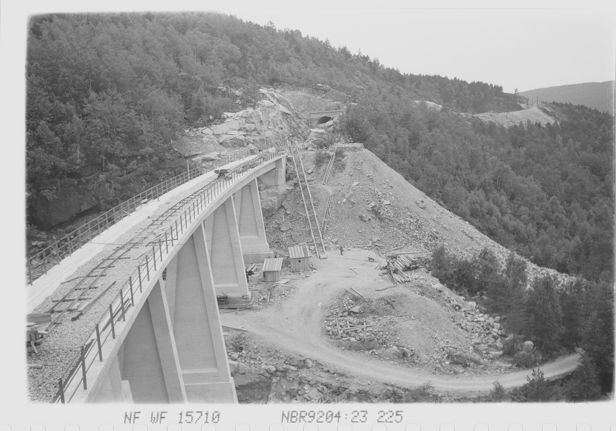 Anders Beer Wilse, Prot: Hunsdalen Viadukt