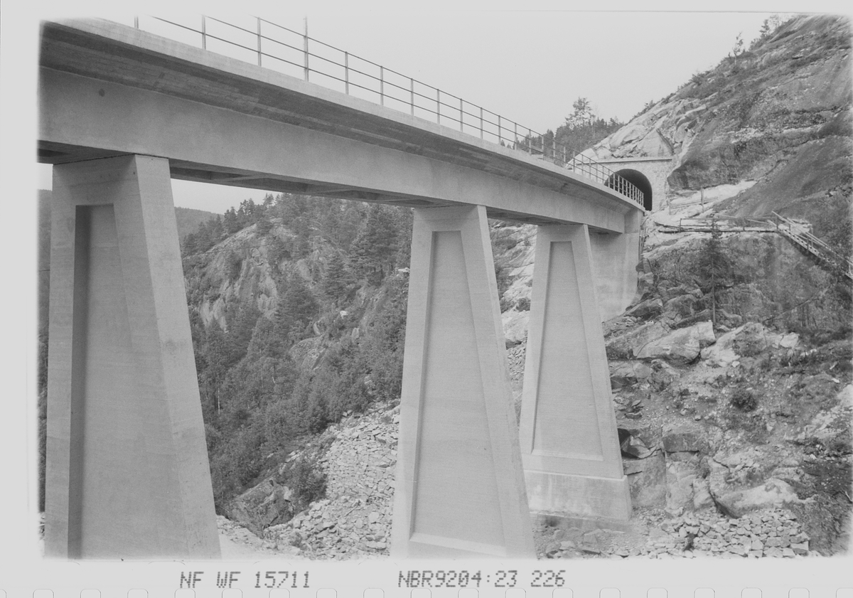 Anders Beer Wilse, Prot: Hunsdalen Viadukt