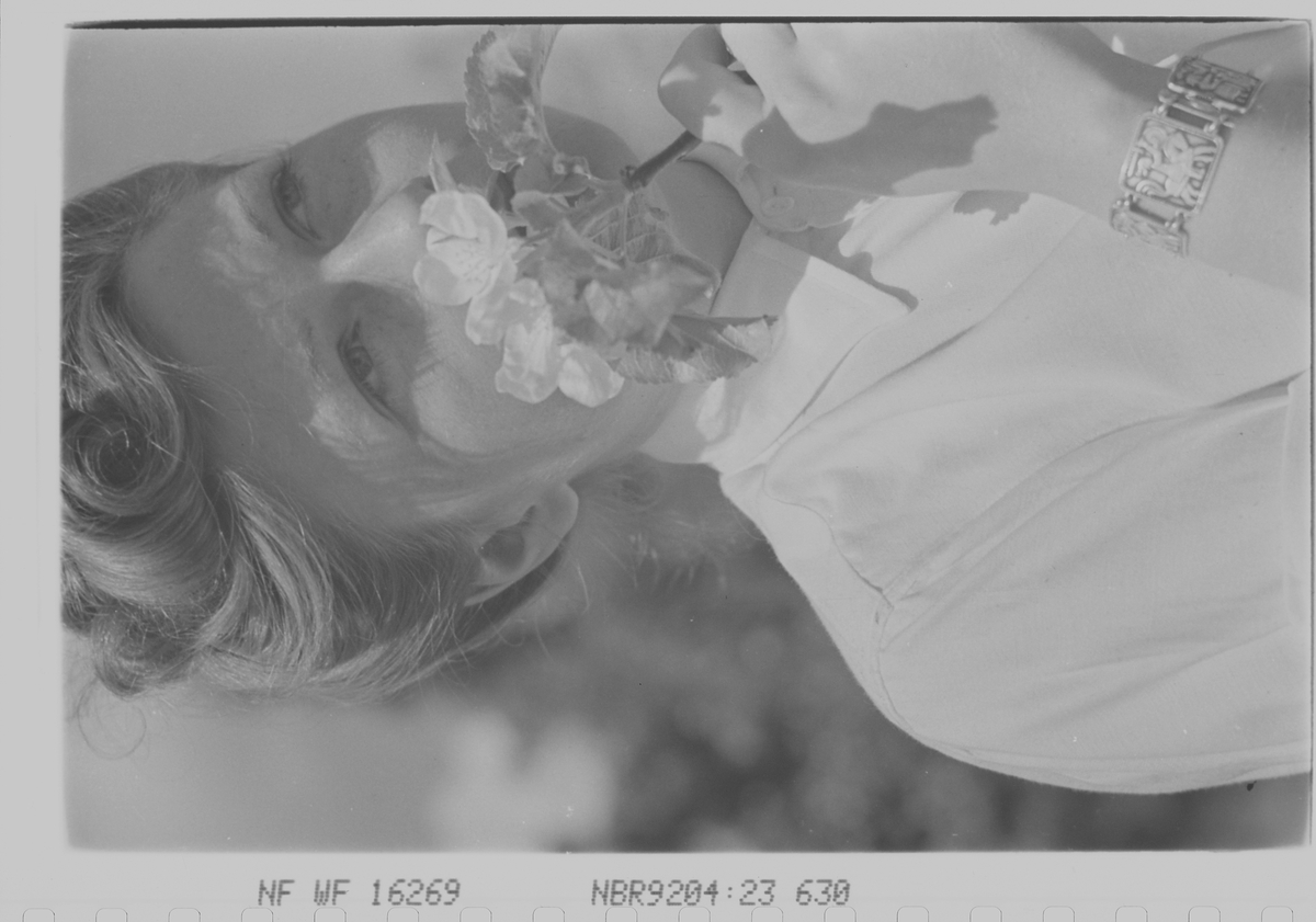 Anders Beer Wilse, Prot: dame fruktblomst