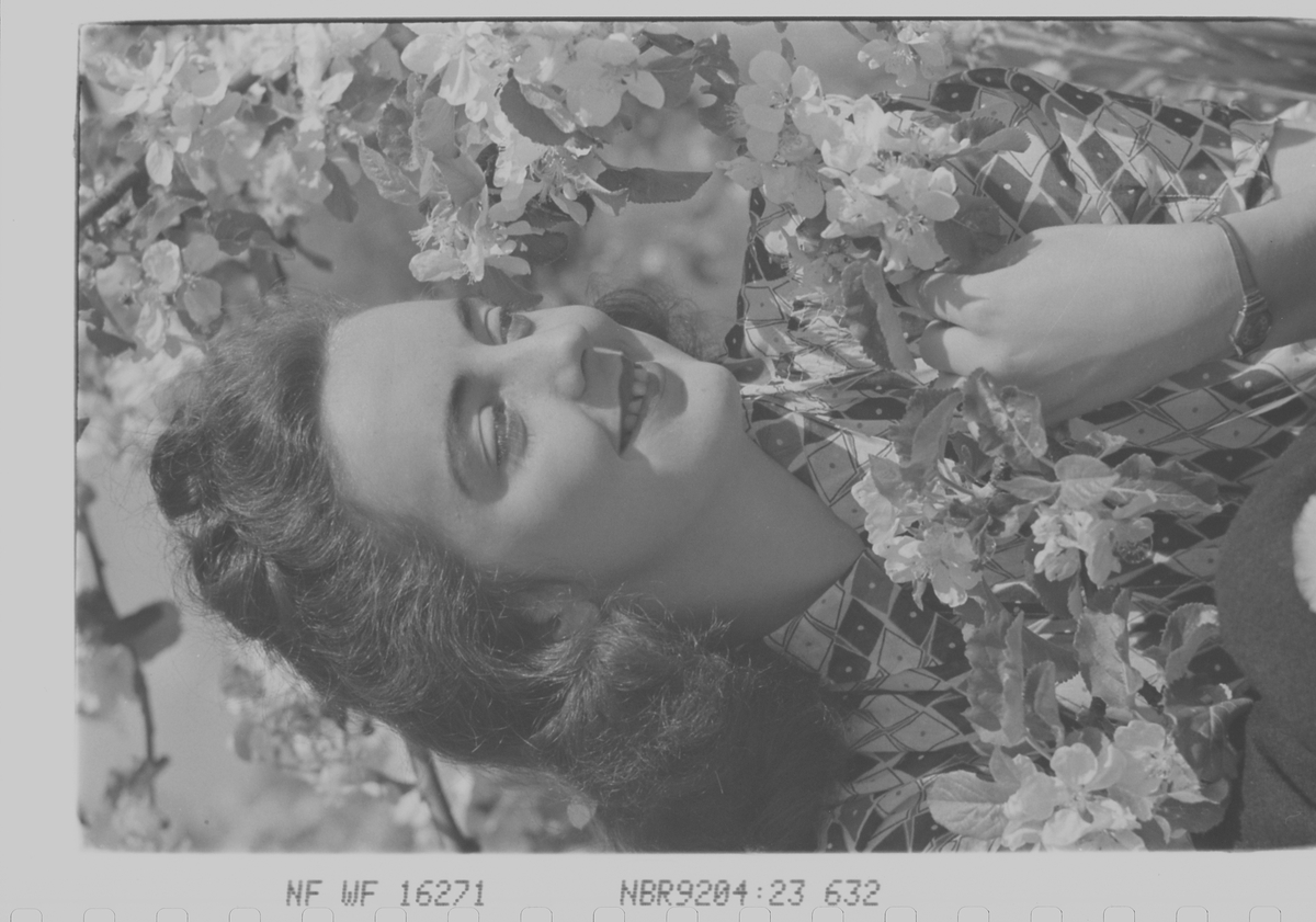 Anders Beer Wilse, Prot: dame fruktblomst