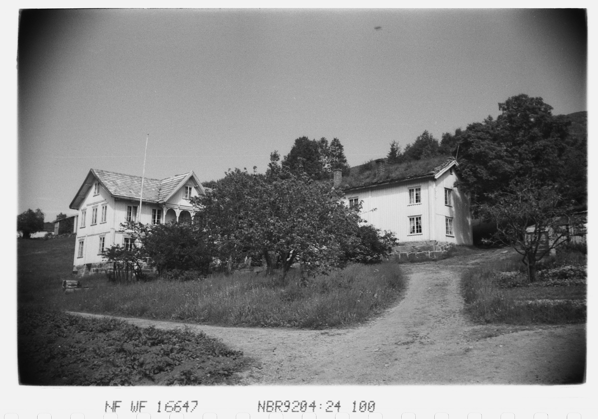 Anders Beer Wilse, Prot: Setesdal