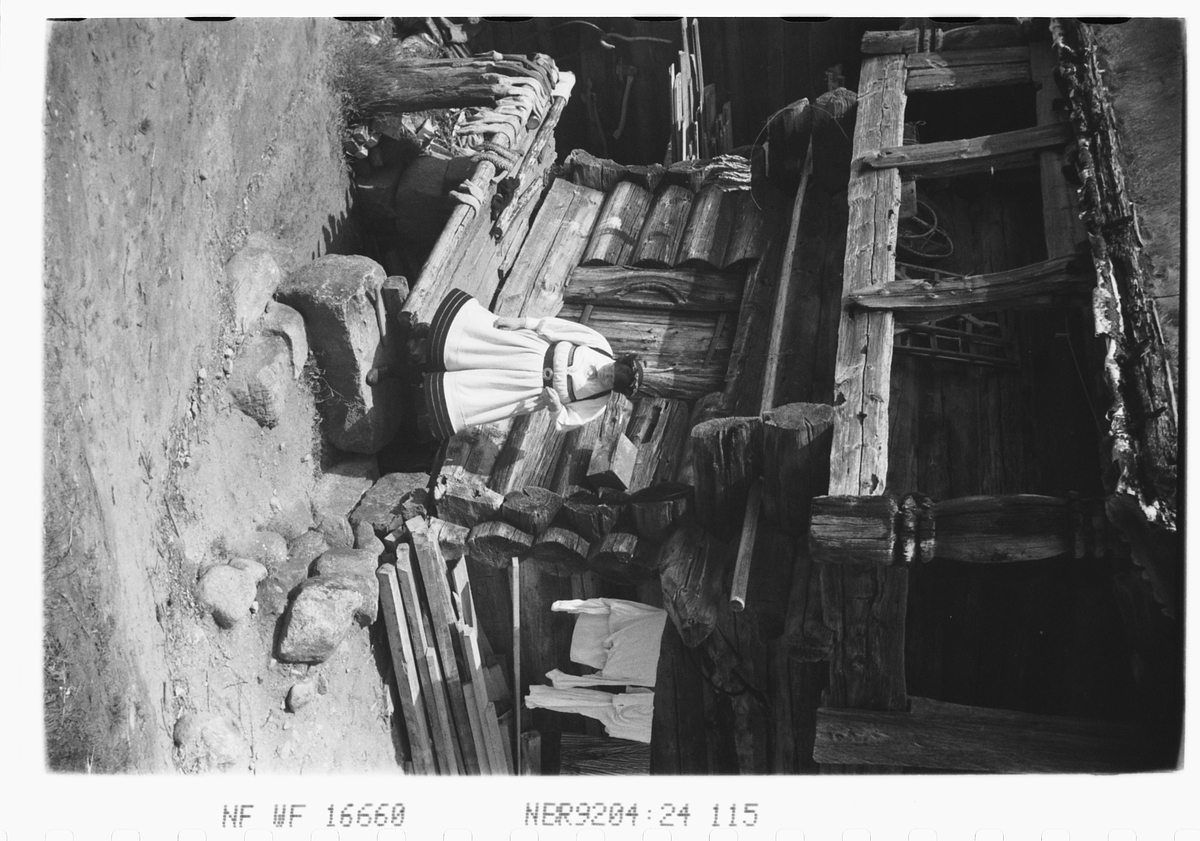 Anders Beer Wilse, Prot: Setesdal pike kone stabur