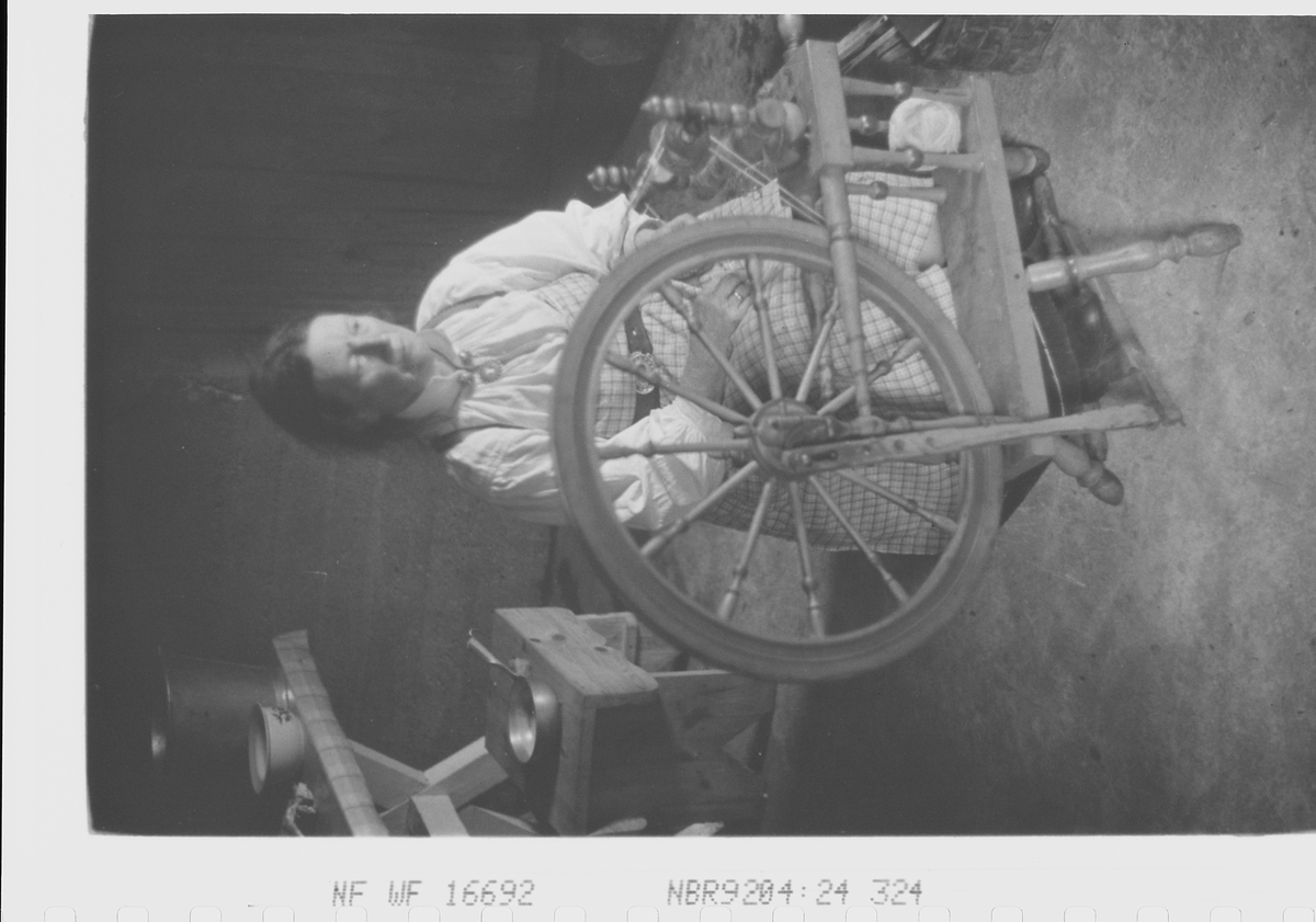 Anders Beer Wilse, Prot: Setesdalskone Kvernhus.