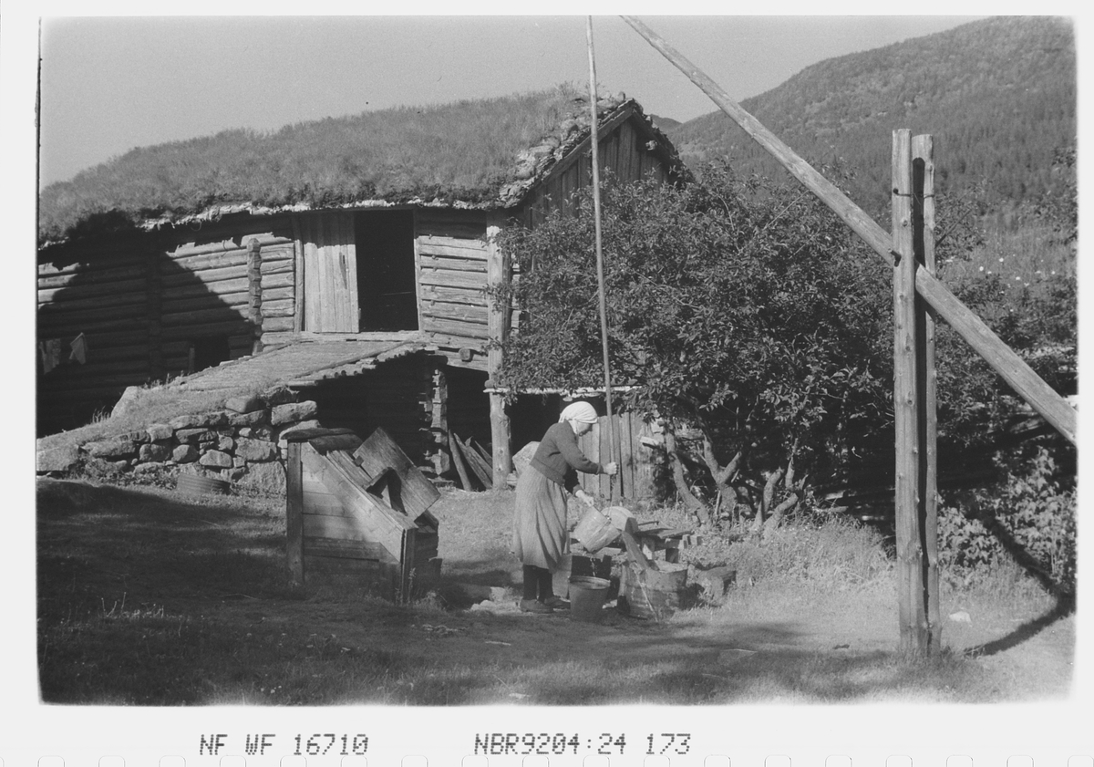 Anders Beer Wilse, Prot: ved brönnen