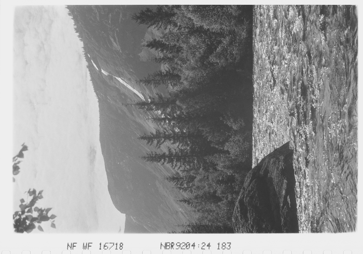 Anders Beer Wilse, Prot: Setesdalen Otra