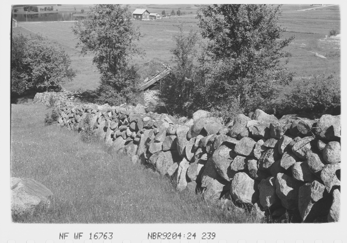Anders Beer Wilse, Prot: Steingar.
