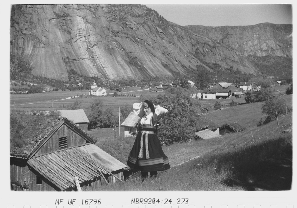 Anders Beer Wilse, Prot: Valle