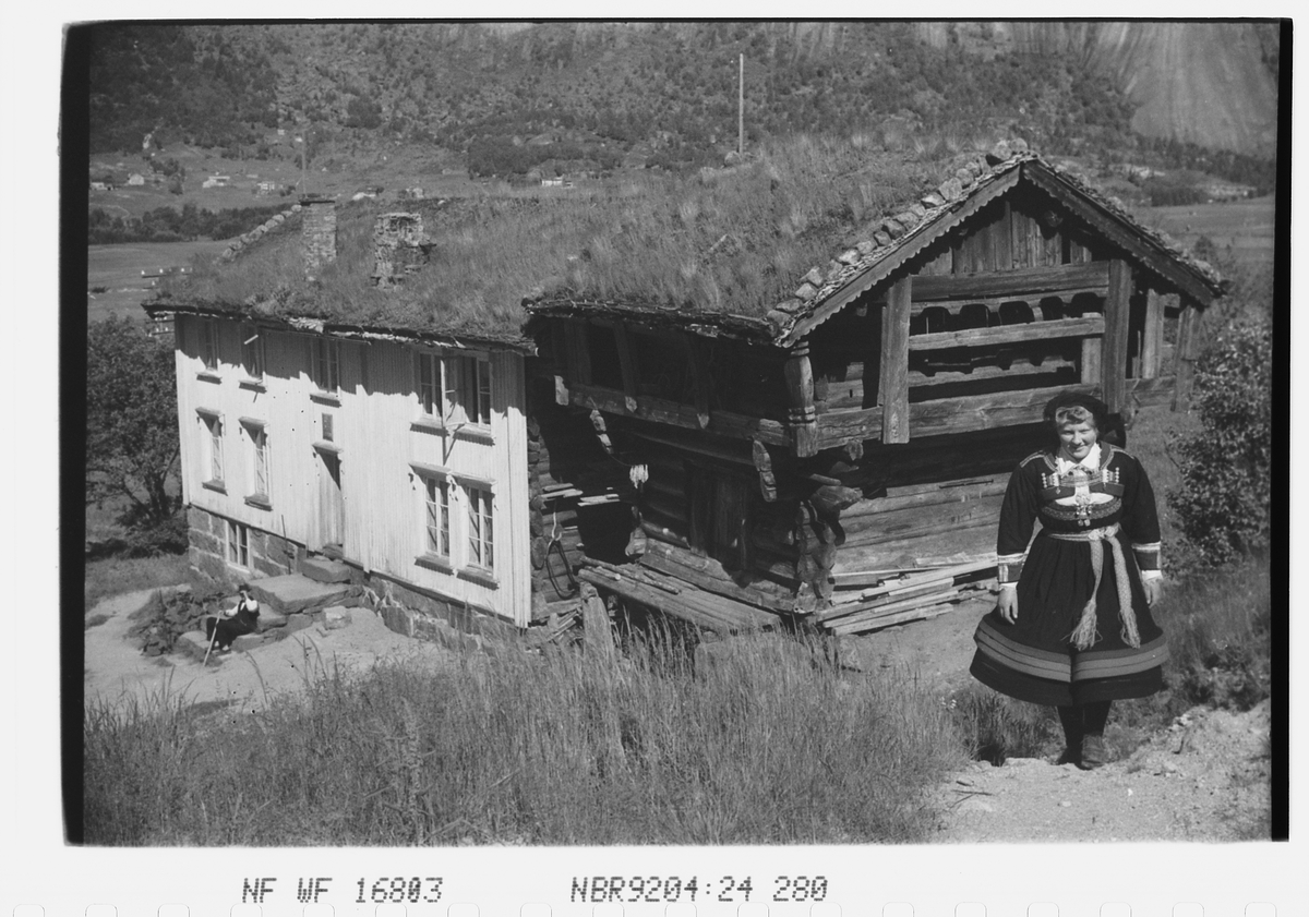 Anders Beer Wilse, Prot: Setesdalsjente, g. hus