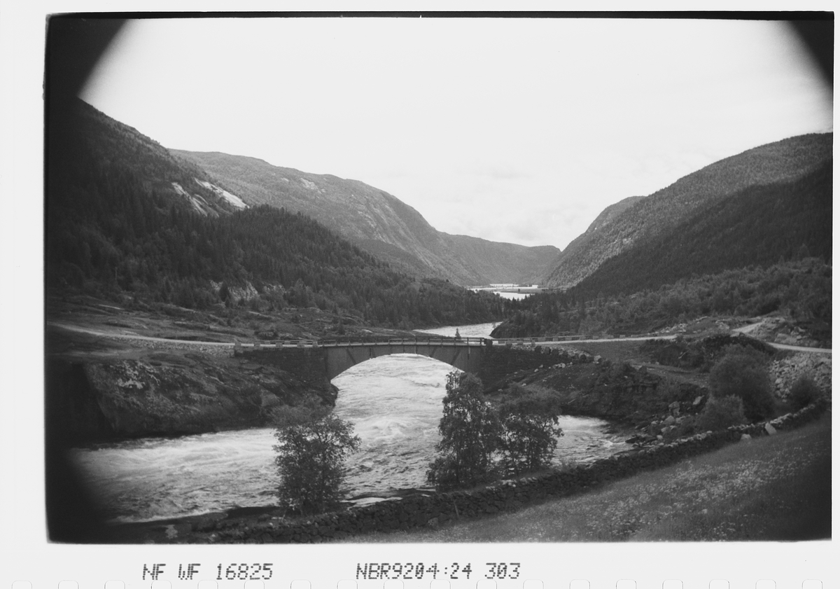 Anders Beer Wilse, Prot: Bro over Otra. Ved Valle.