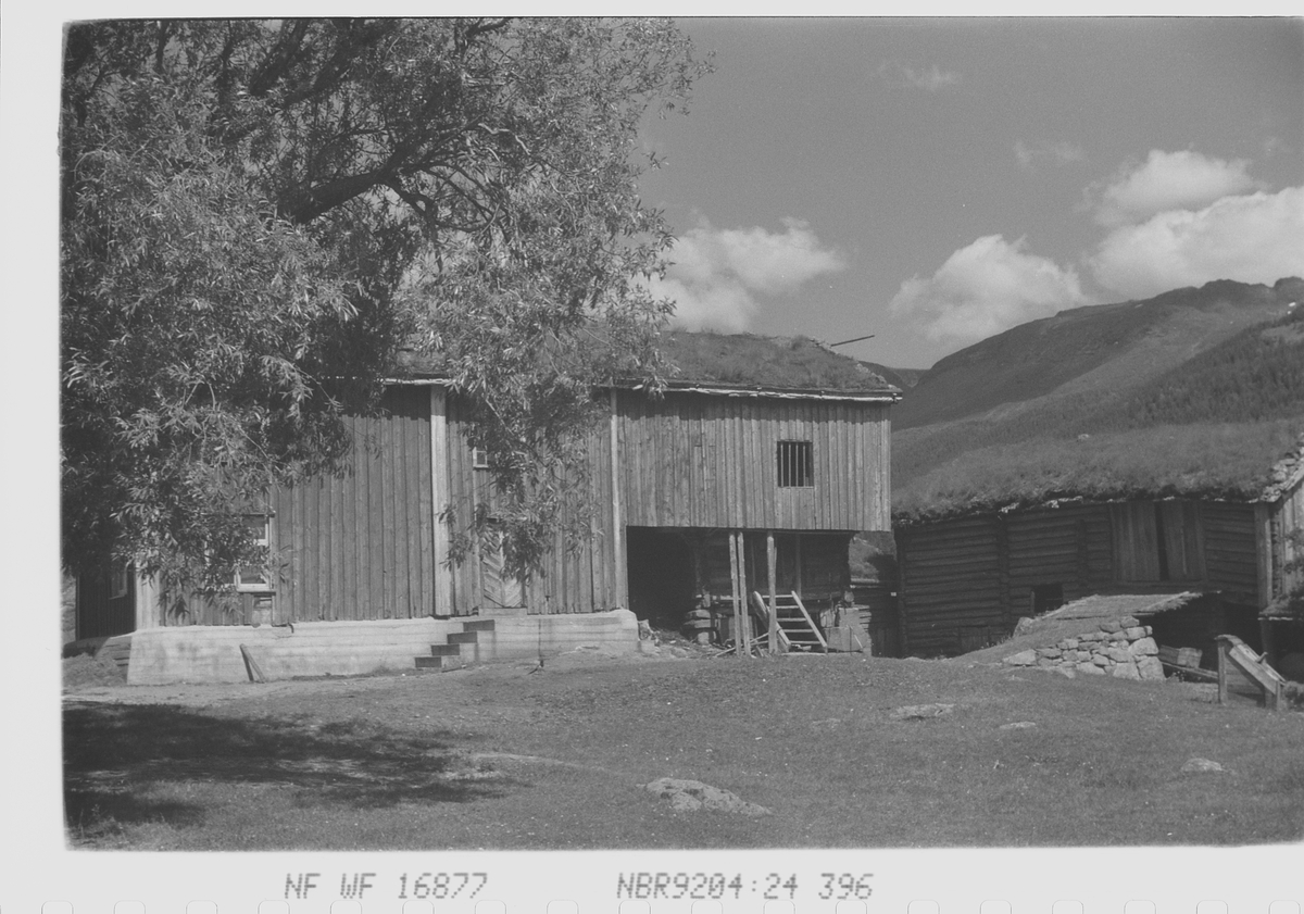 Anders Beer Wilse, Prot: Setesdalsgård