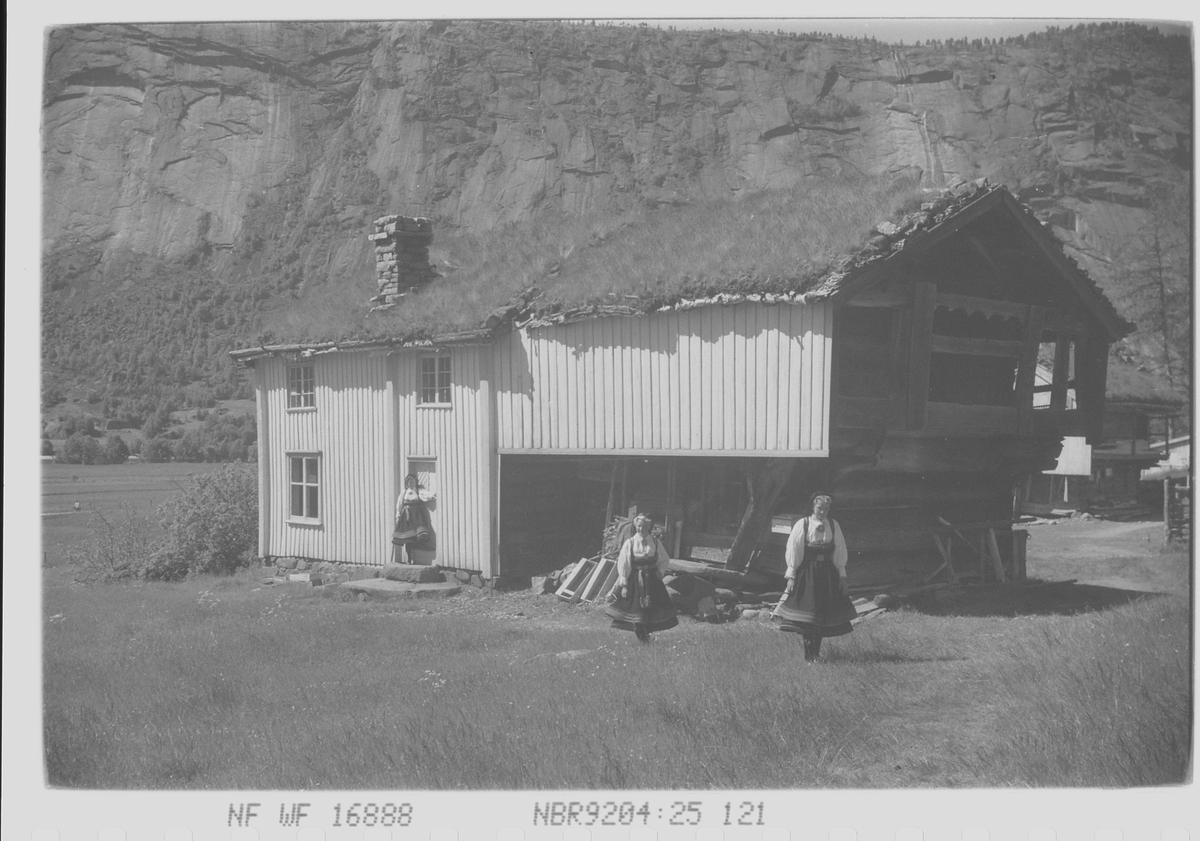 Anders Beer Wilse, Prot: Setesdalspiker med gård