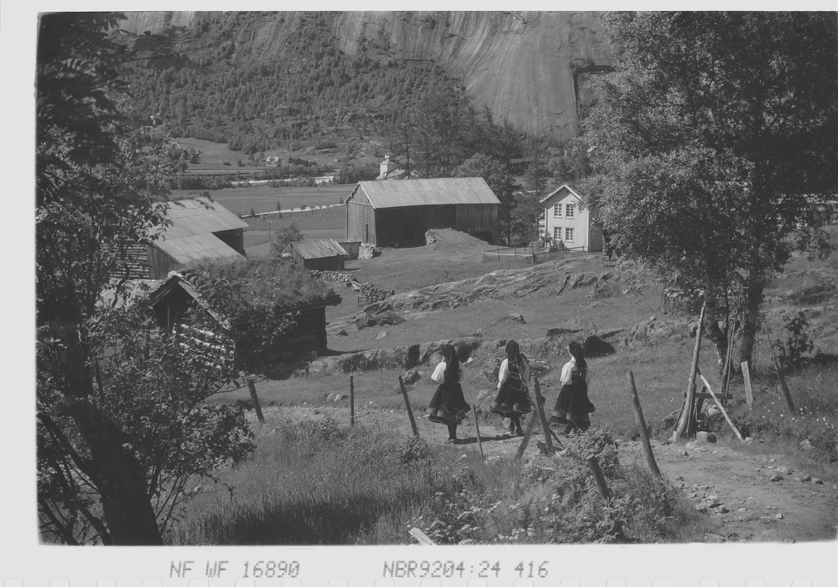 Anders Beer Wilse, Prot: Setesdalsgård