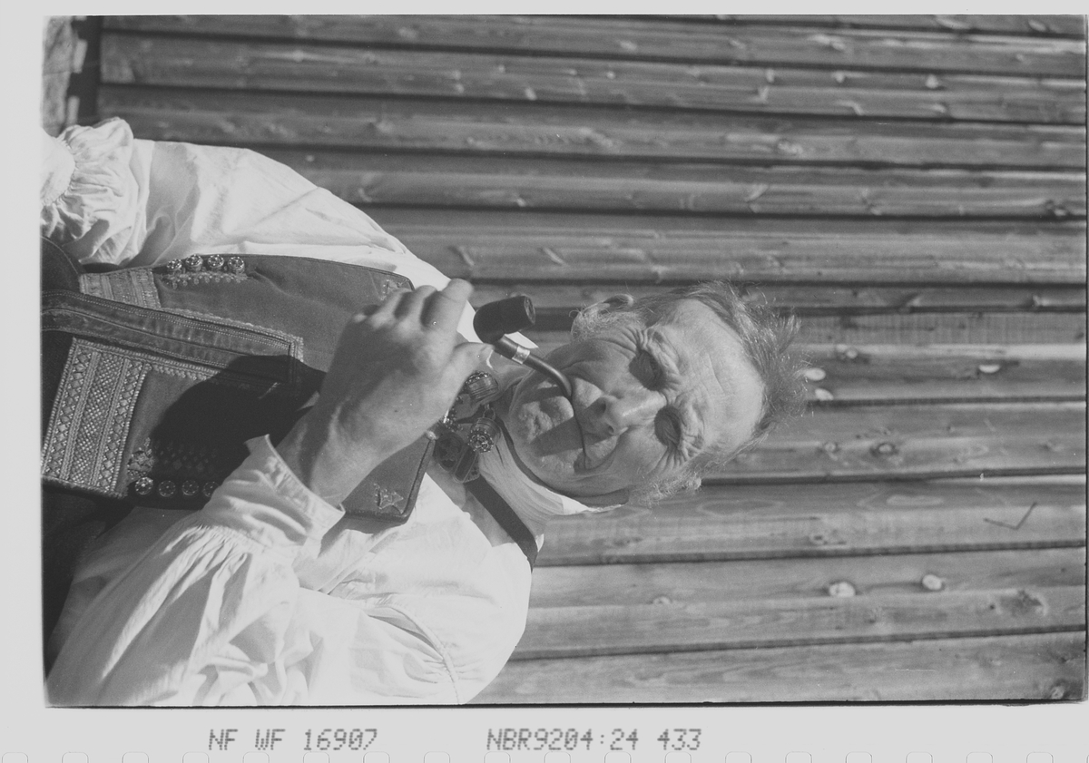 Anders Beer Wilse, Prot: Setesdöl