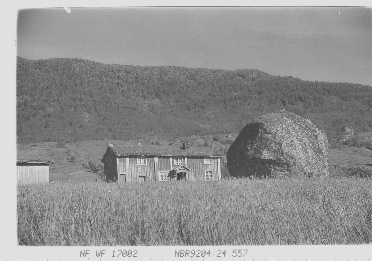 Anders Beer Wilse, Prot: Setesdalsgård