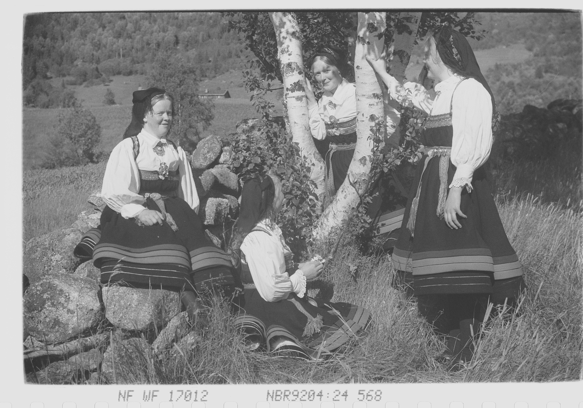 Anders Beer Wilse, Prot: Setesdalsjenter