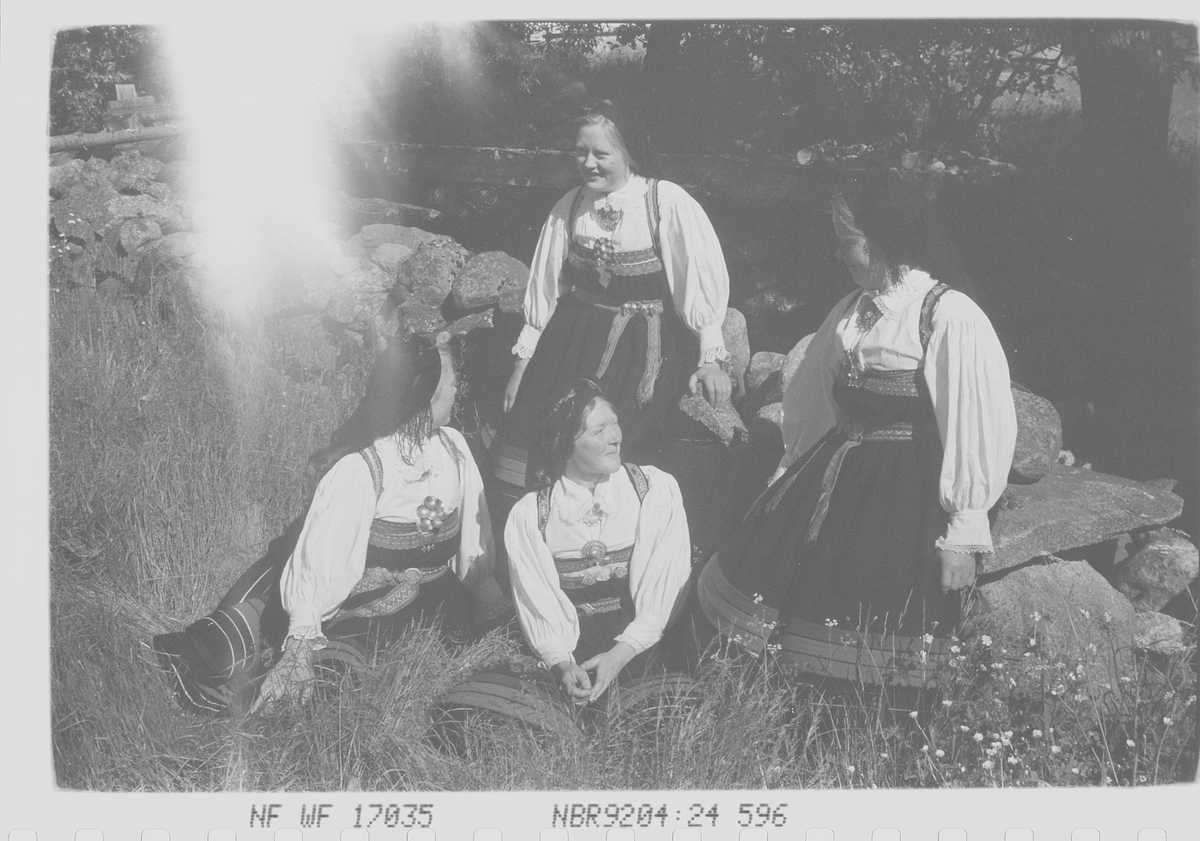 Anders Beer Wilse, Prot: Setesdalsjenter