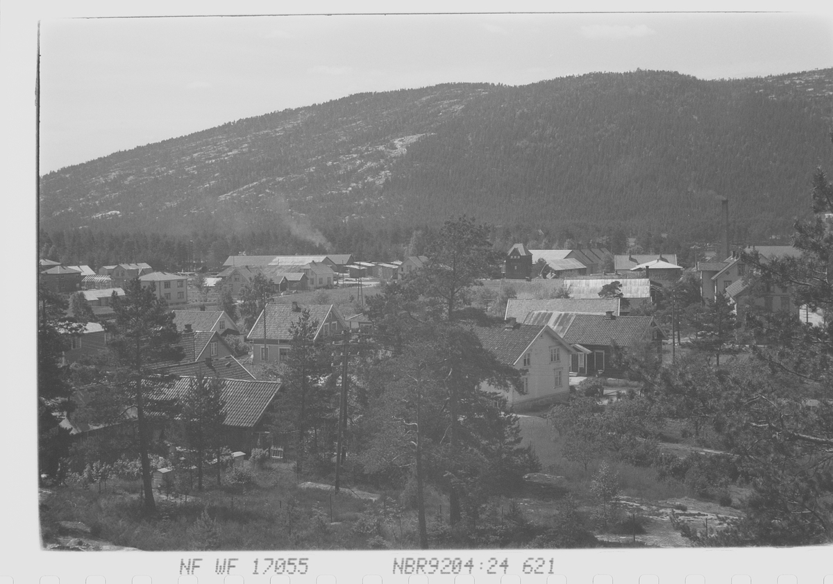 Anders Beer Wilse, Prot: Byglandsfjord