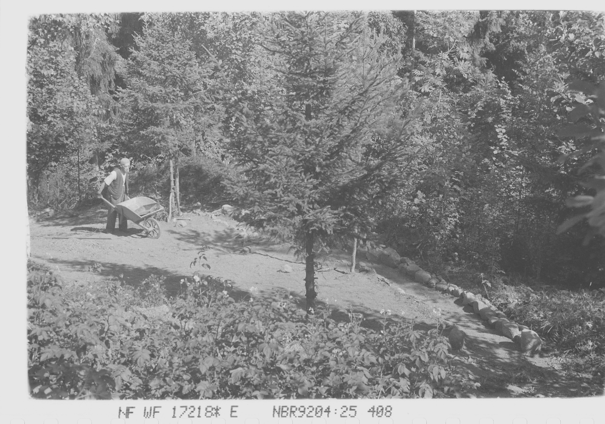 Anders Beer Wilse, NF.WF17218*E