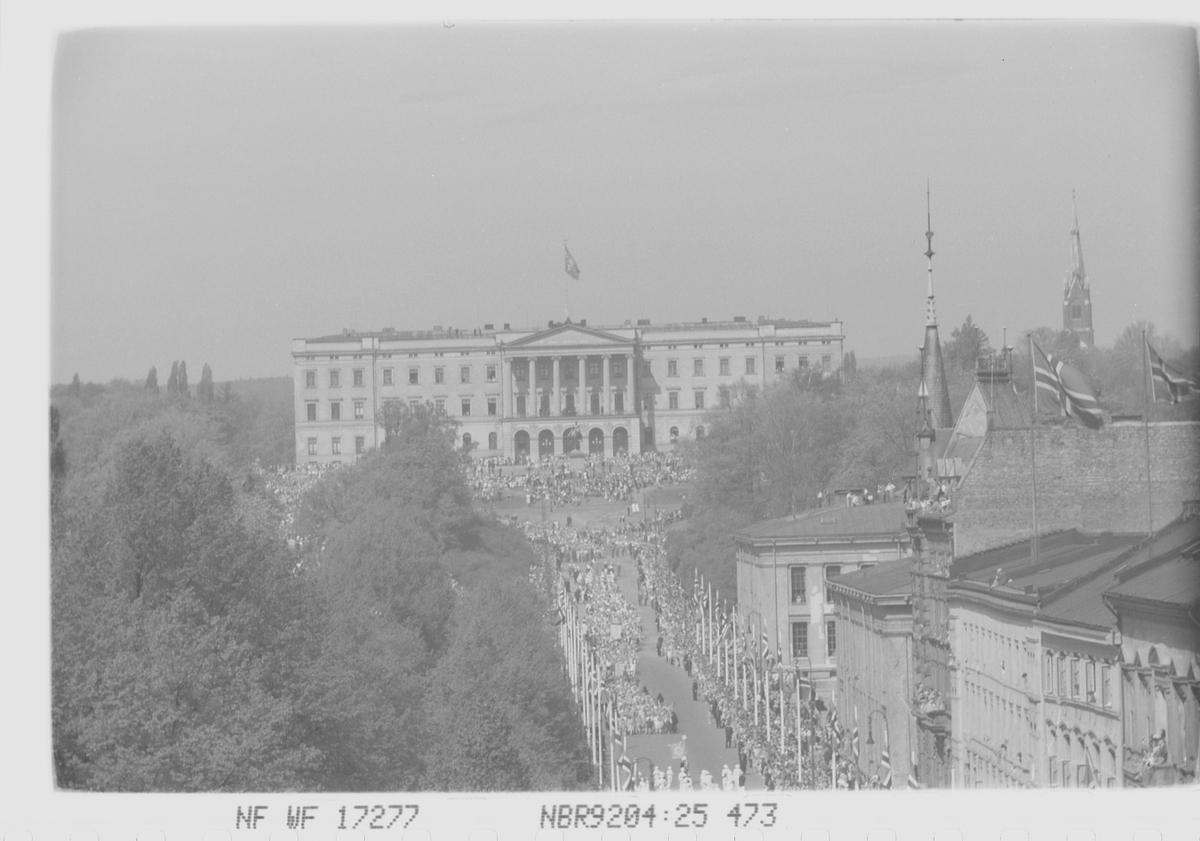 Anders Beer Wilse, Prot: 17. mai Karl Johan