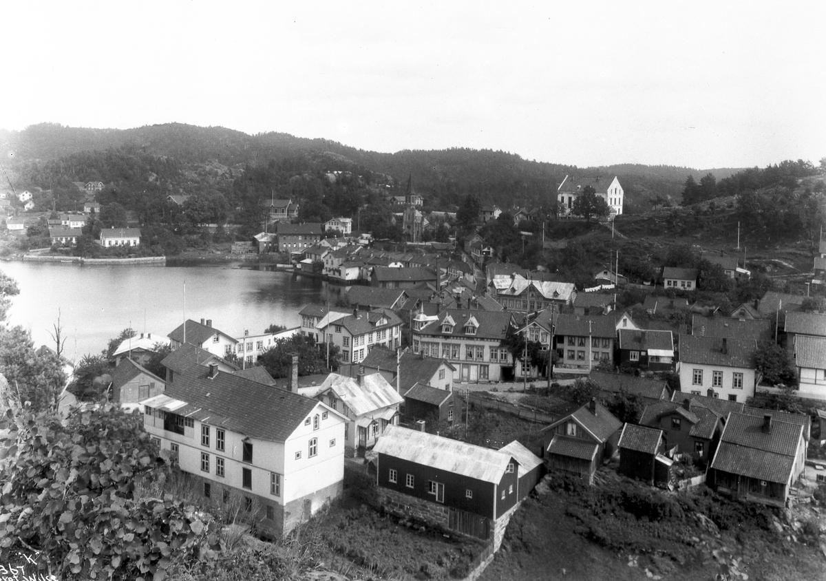 Anders Beer Wilse, prot: Tvedestrand Oversigt