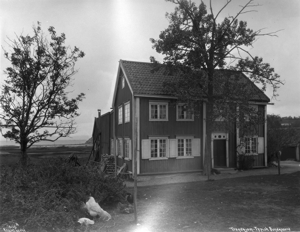 Anders Beer Wilse, prot: Trondhjem Gammel Gaard 14/5