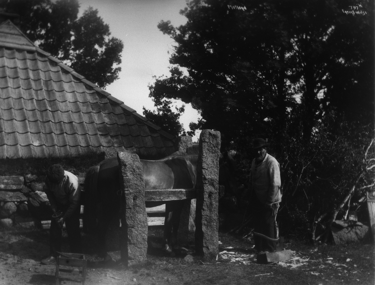 Anders Beer Wilse, prot: Motland Smidjen med Hesteskostald 5/7