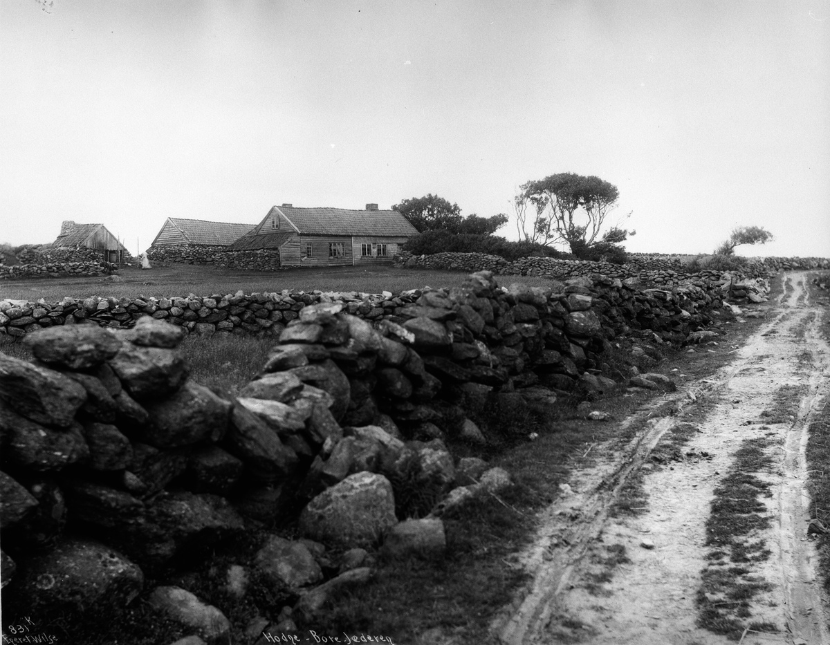 Anders Beer Wilse, prot: Hodne