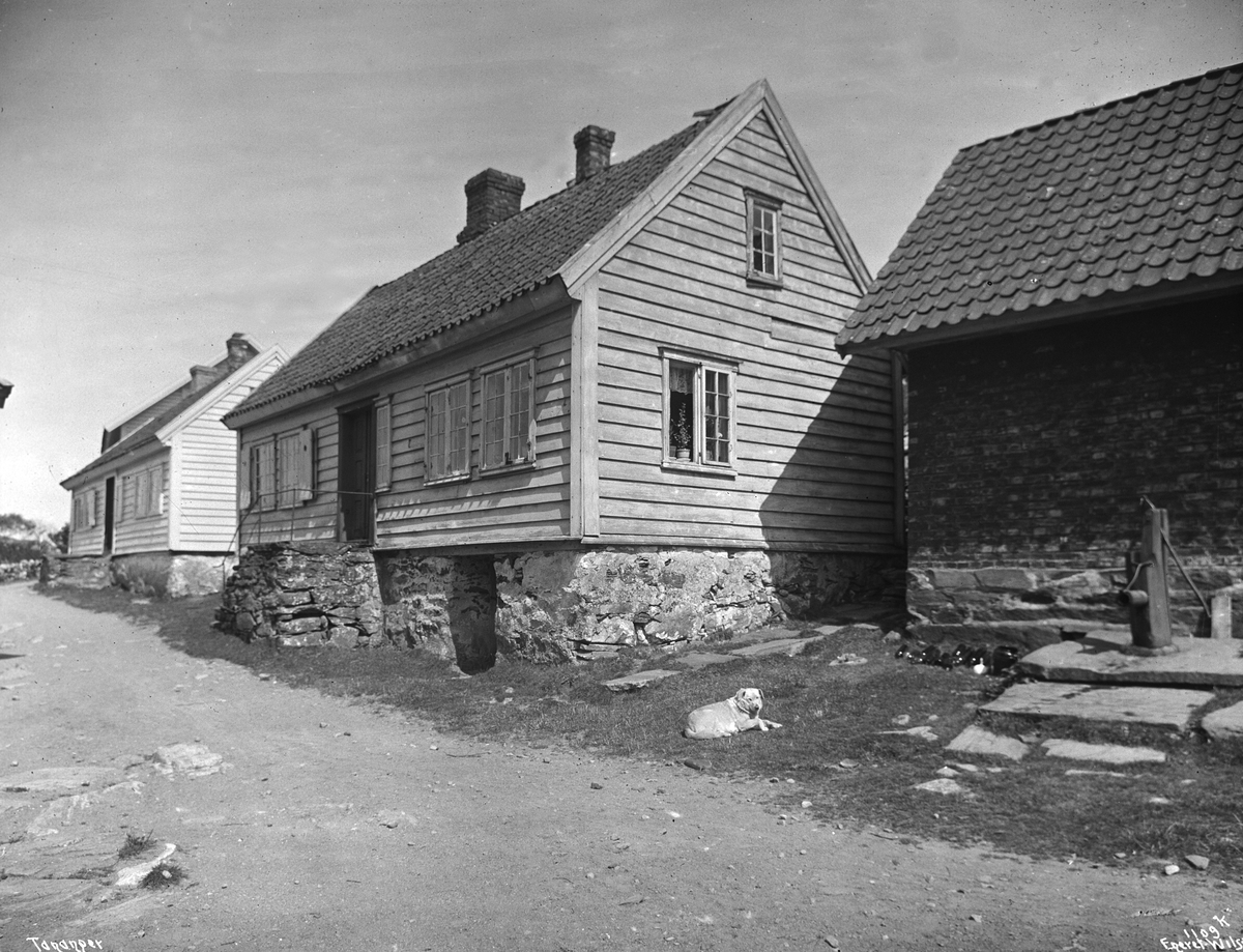 Anders Beer Wilse, Prot: Tananger Gade