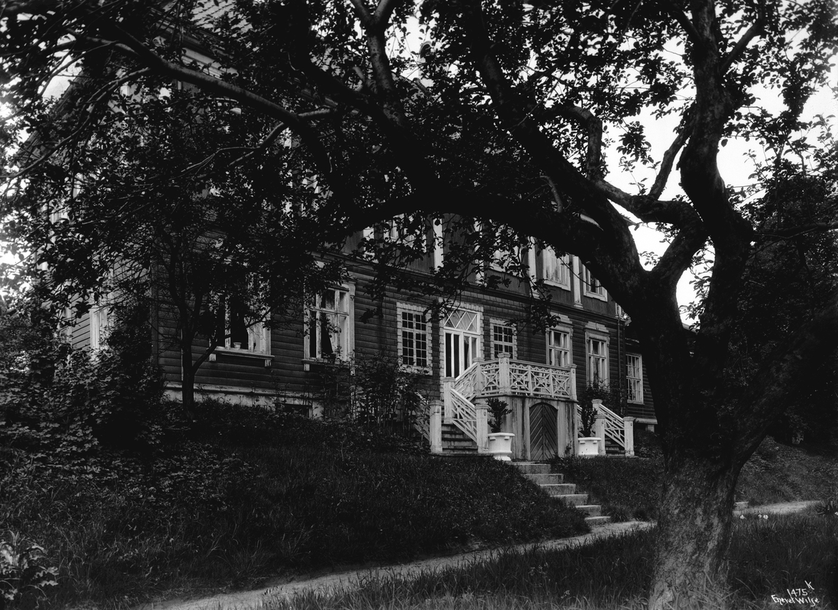 Anders Beer Wilse, Prot: Guldskogen ...... Drammen Nordfacade 1/6