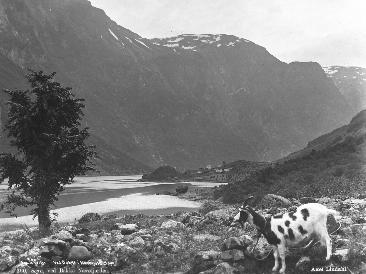Axel Lindahl, Prot: Ved Bakke ved Nærøfjorden