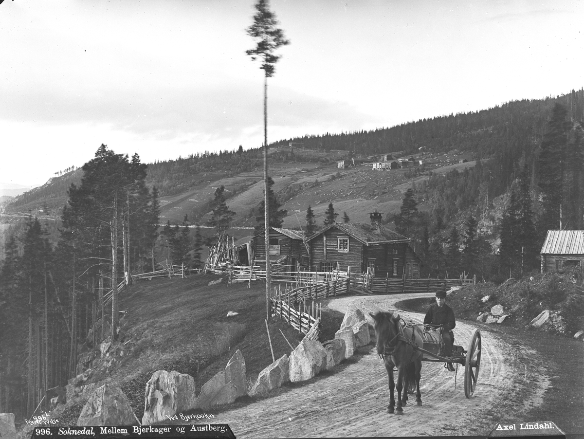 Axel Lindahl, Prot: Soknedal. Mellem Bjerkager og Austberg
