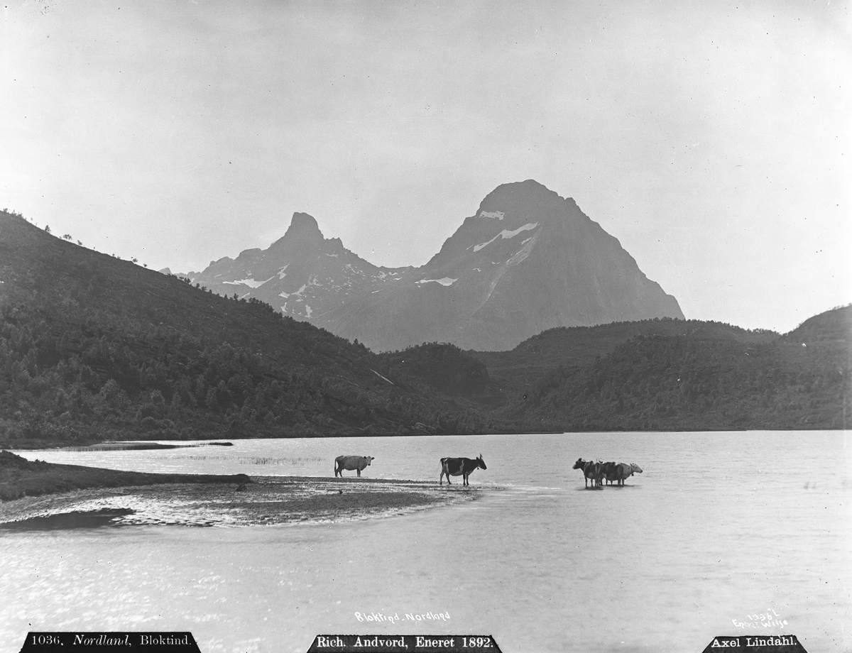 Axel Lindahl, "Prot: Nordland Bloktind paa Helgeland med Kjør