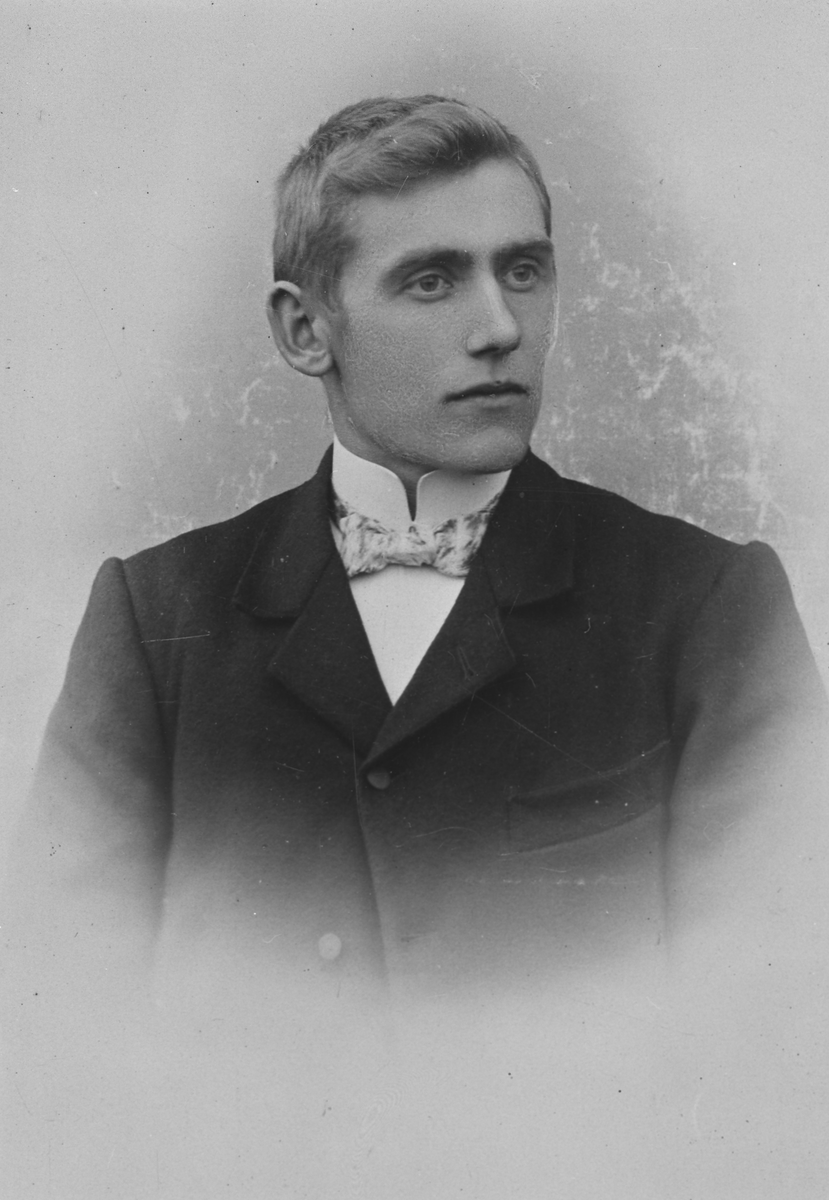 Henrik Augustinsson Stinessen, Portrett av Sigvart Bergseth
