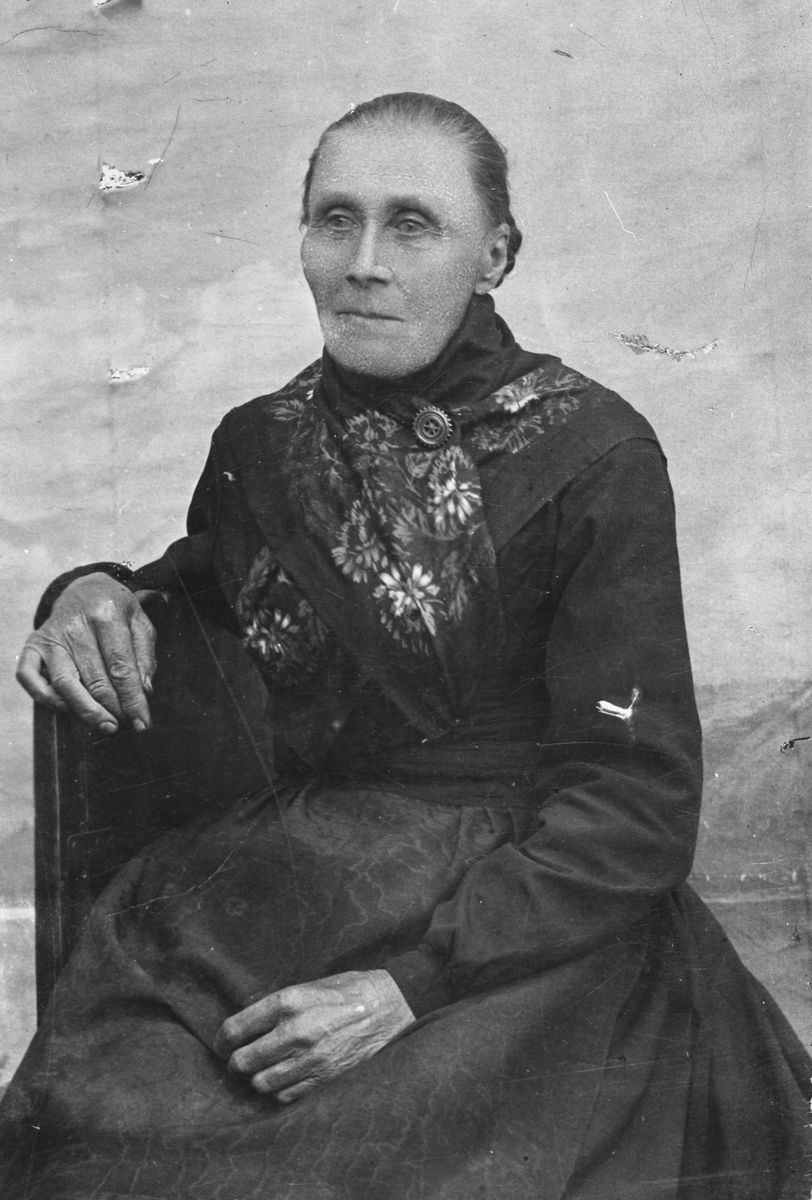Henrik Augustinsson Stinessen, Portrett av Lavrensa Haugsetvoll (1823-1913)