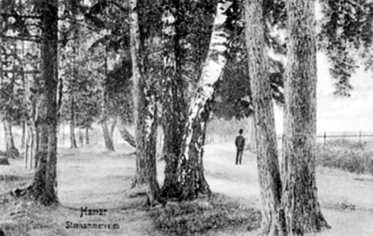 Anders Beer Wilse, STRANDPROMENADEN, RIDEHUSSTRANDA, STORHAMARSTRANDA, MUNKEN. POSTKORT. Brevkort.