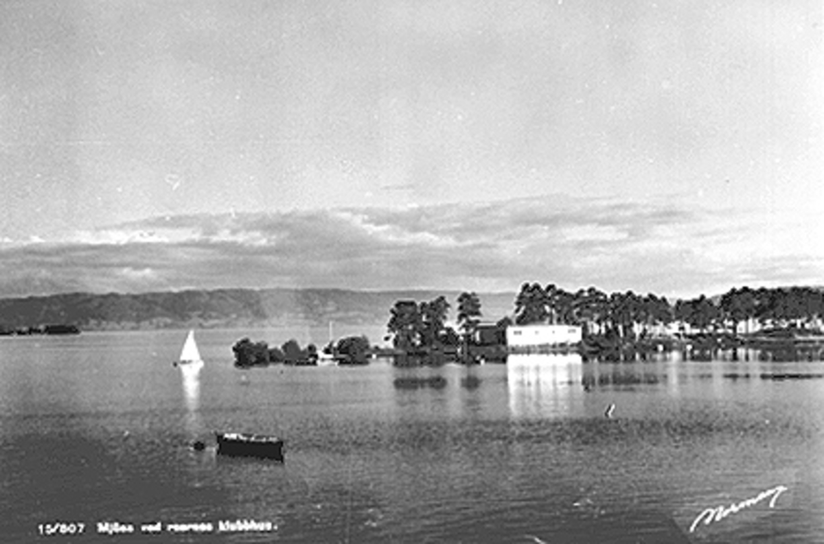 Normann Fotoatelier, Tjuvholmen, Vesle-Mjøsa, Hamar. Hamar Roklubb, seilbåt, robåt. Postkort. 15/807. "Mjøsa ved roernes klubbhus."