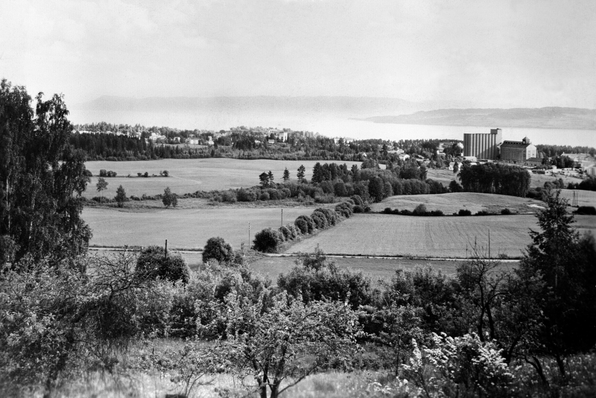 Anno Domkirkeodden, UTSIKT OVER HOLSJORDET MOT KORNSILOEN, MJØSA