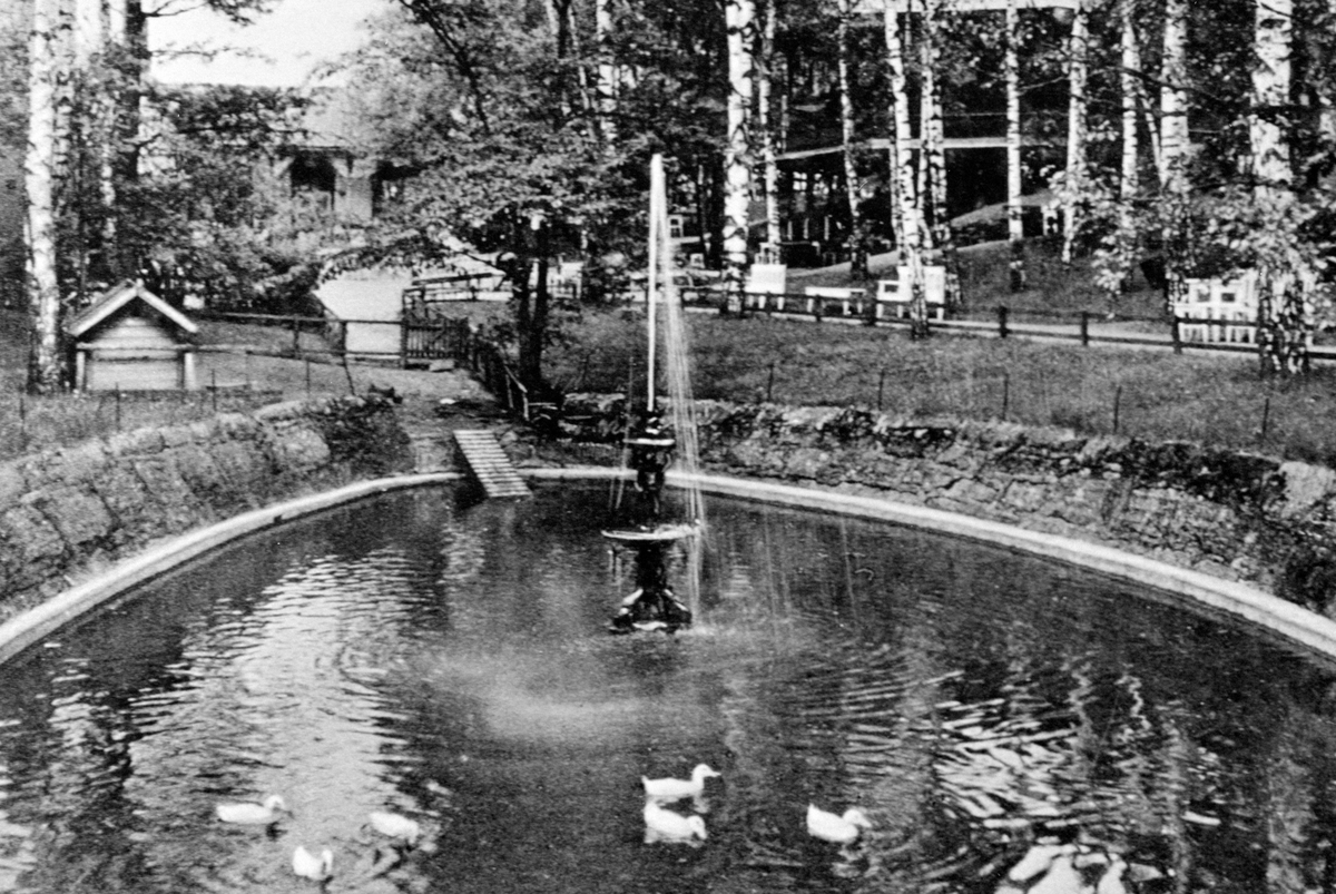 Anno Domkirkeodden, HAMAR PARK, ANDEDAMMEN MED FONTENE I FORGRUNNEN, ENDER,