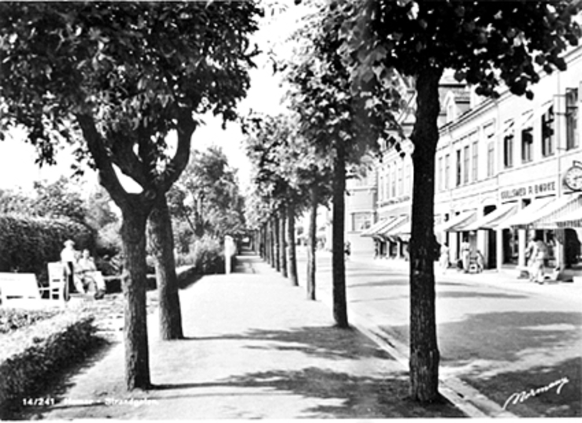 Anno Domkirkeodden, Strandgata, Strandgatehagen, Strandgateparken, Gullsmed Børke. Postkort 14/241. "Hamar-Strandgaten"