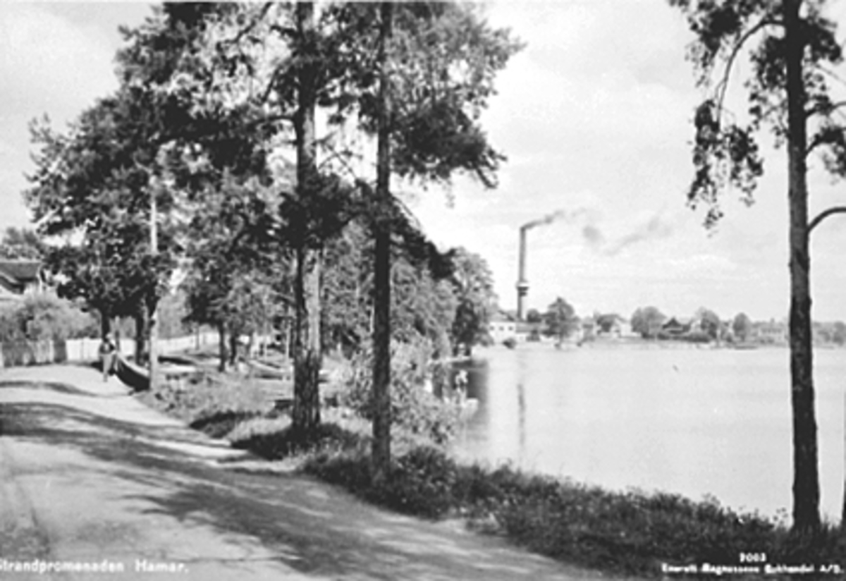 Anno Domkirkeodden, RIDEHUSSTRANDA, STRANDPROMENADEN, DAME, PIPA TIL MELKEFABRIKKEN