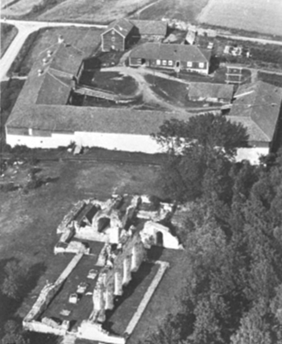 Anno Domkirkeodden, FLYFOTO, DOMKIRKERUINENE, STORHAMARLÅVEN, HEDMARKSMUSEET, DOMKIRKEODDEN