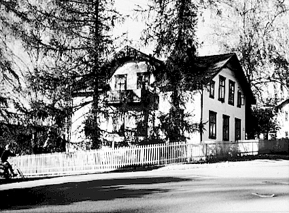 Anno Domkirkeodden, EKSTERIØR GRØNNEGATA 141, GAMLE LERKETRÆR