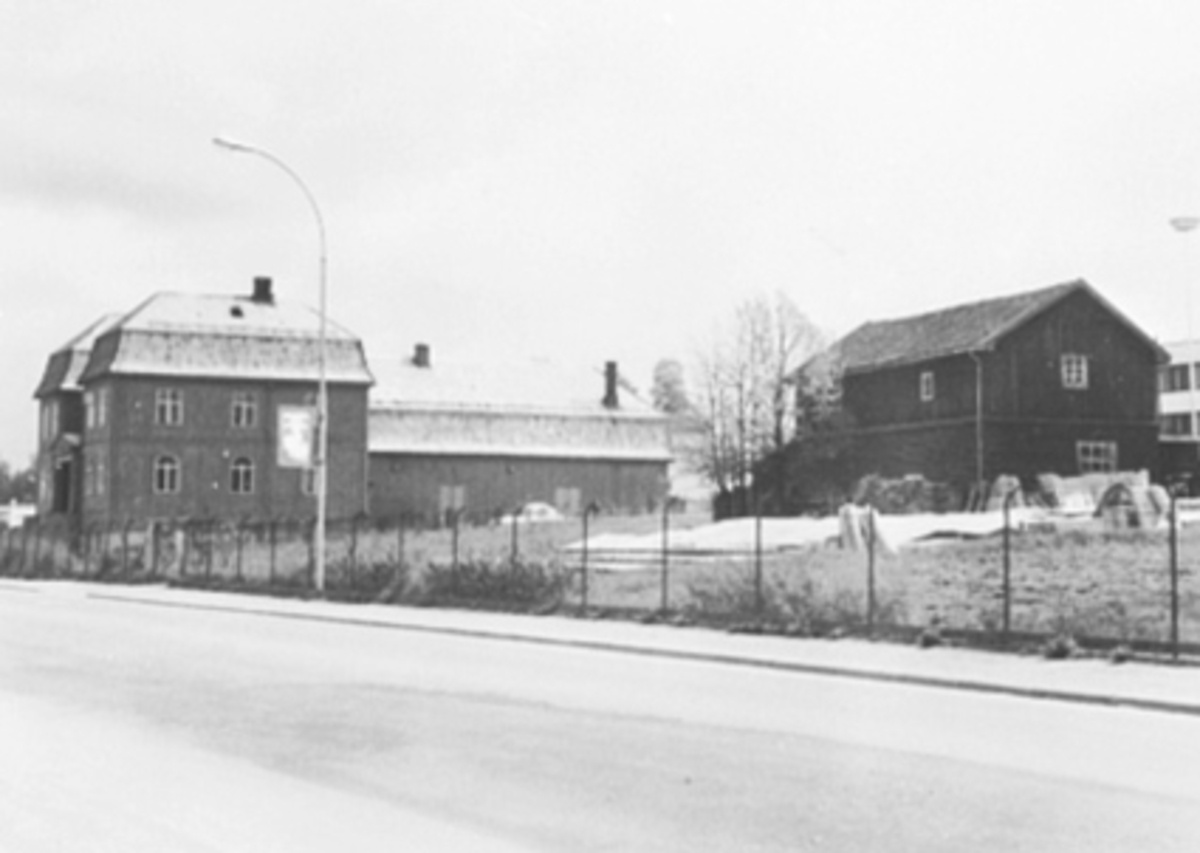 Anno Domkirkeodden, EKSTERIØR BIOGRAFEN KINO, O FUGLSETHS GARTNERI, LÅVEN