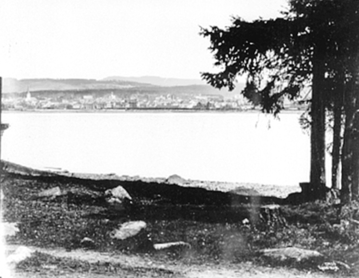 Anno Domkirkeodden, BYPANORAMA FRA TJUVHOLMEN, HAMARBUKTA TIL HAMAR DOMKIRKE
