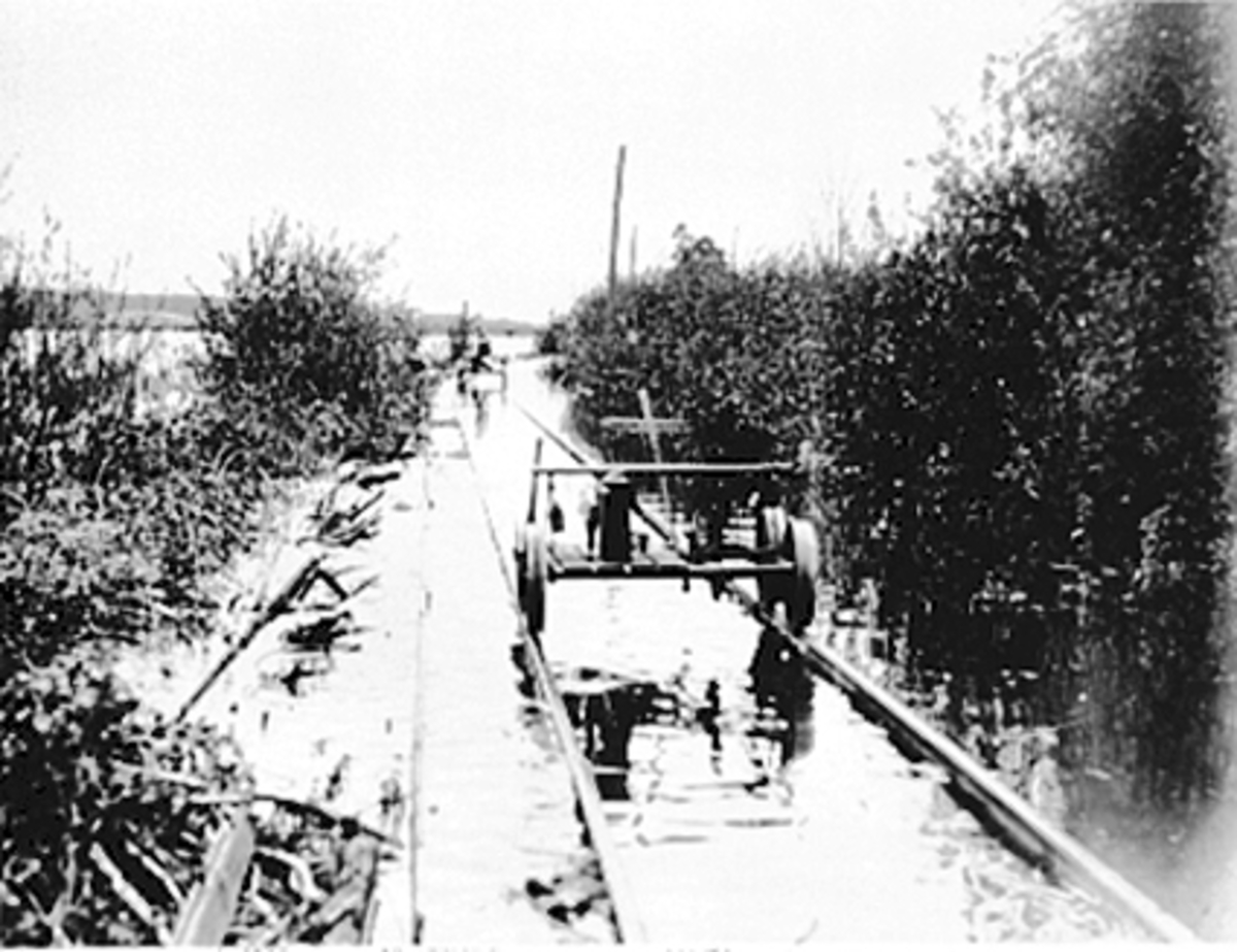 Anno Domkirkeodden, FLOMMEN I MJØSA 1895, VANN OVER JERNBANESKINNENE PÅ RØROSBANEN, DRESSINER, ÅKERSVIKA
