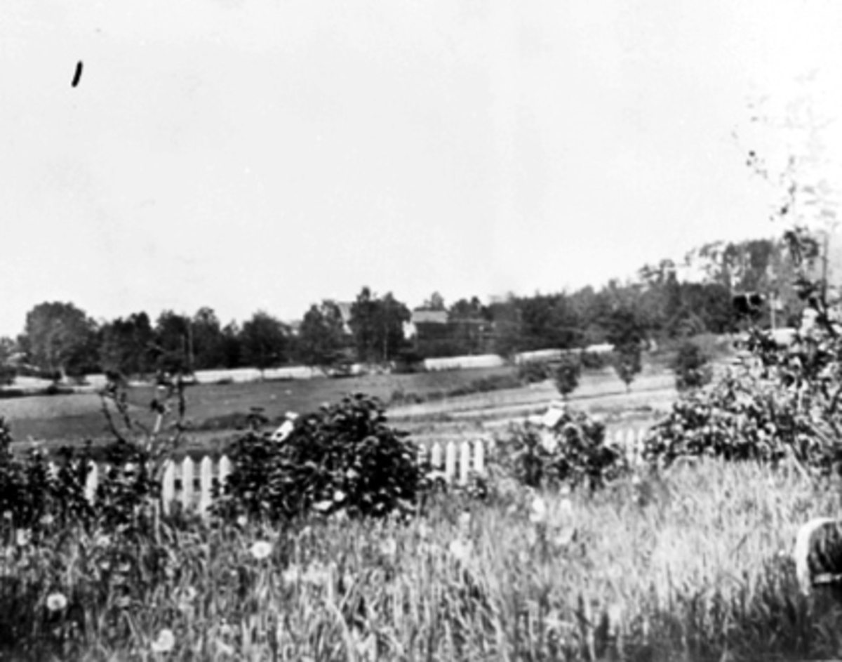 Anno Domkirkeodden, OVERSIKT HELLERUDJORDET, GREVEJORDET UTEN BEBYGGELSE MED BISPEGÅRDEN I BAKGRUNNEN