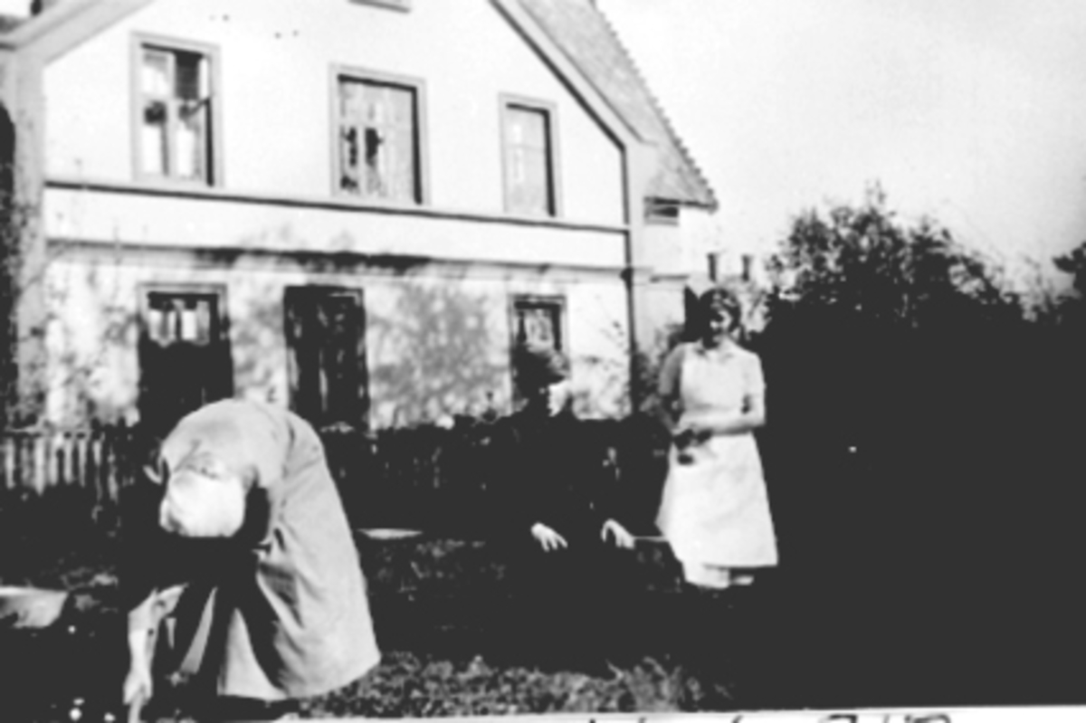 Anno Domkirkeodden, HAGEARBEID I FAGERVIK, FRU BORCHGREVINK GRAVER I BLOMSTERBEDET, FRU PETERSEN OG GUDRUN ER TILSKUERE, ØSTREGATE 72
