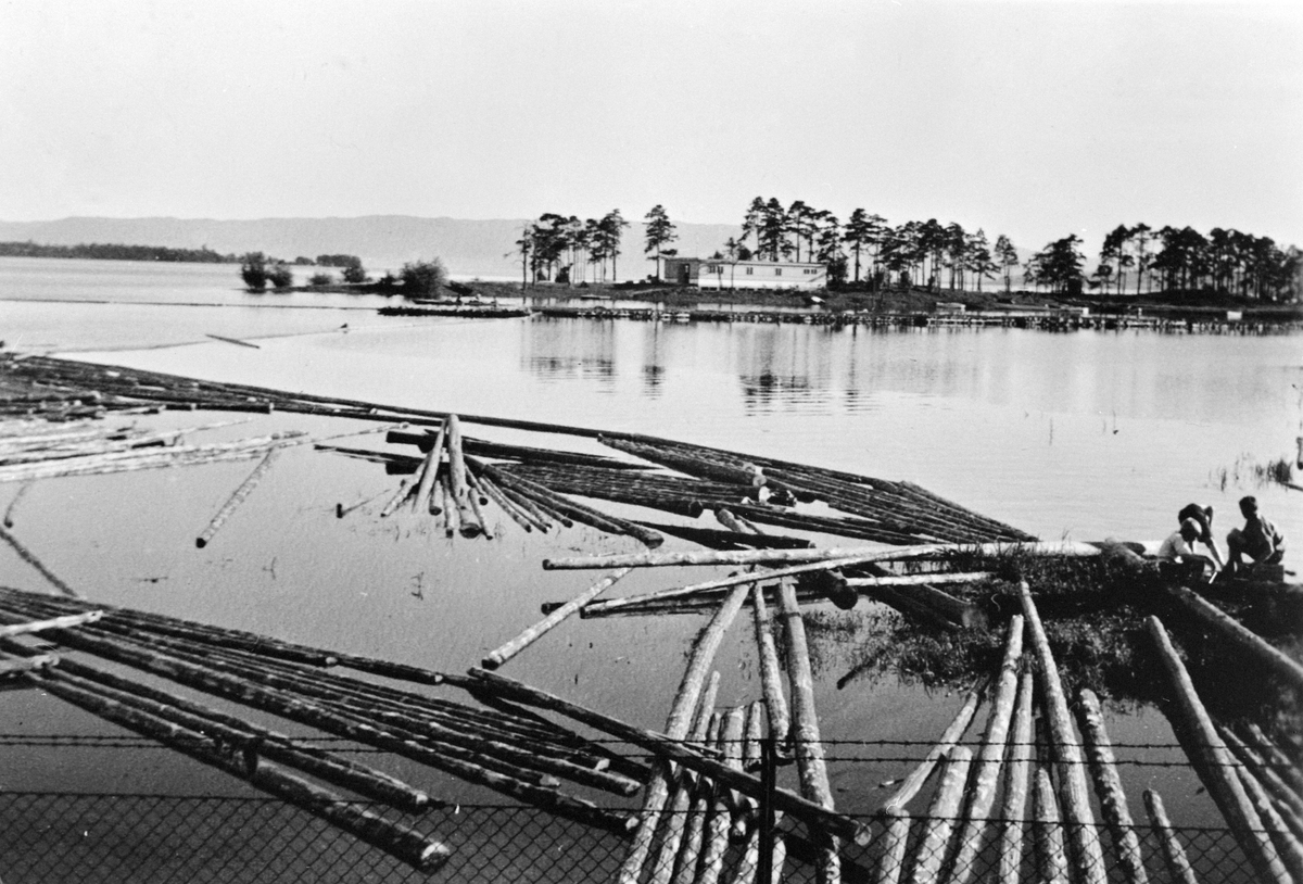 Anno Domkirkeodden, TØMMERLENSER, VESLE-MJØSA, GUTTER, TØMMERSTOKKER