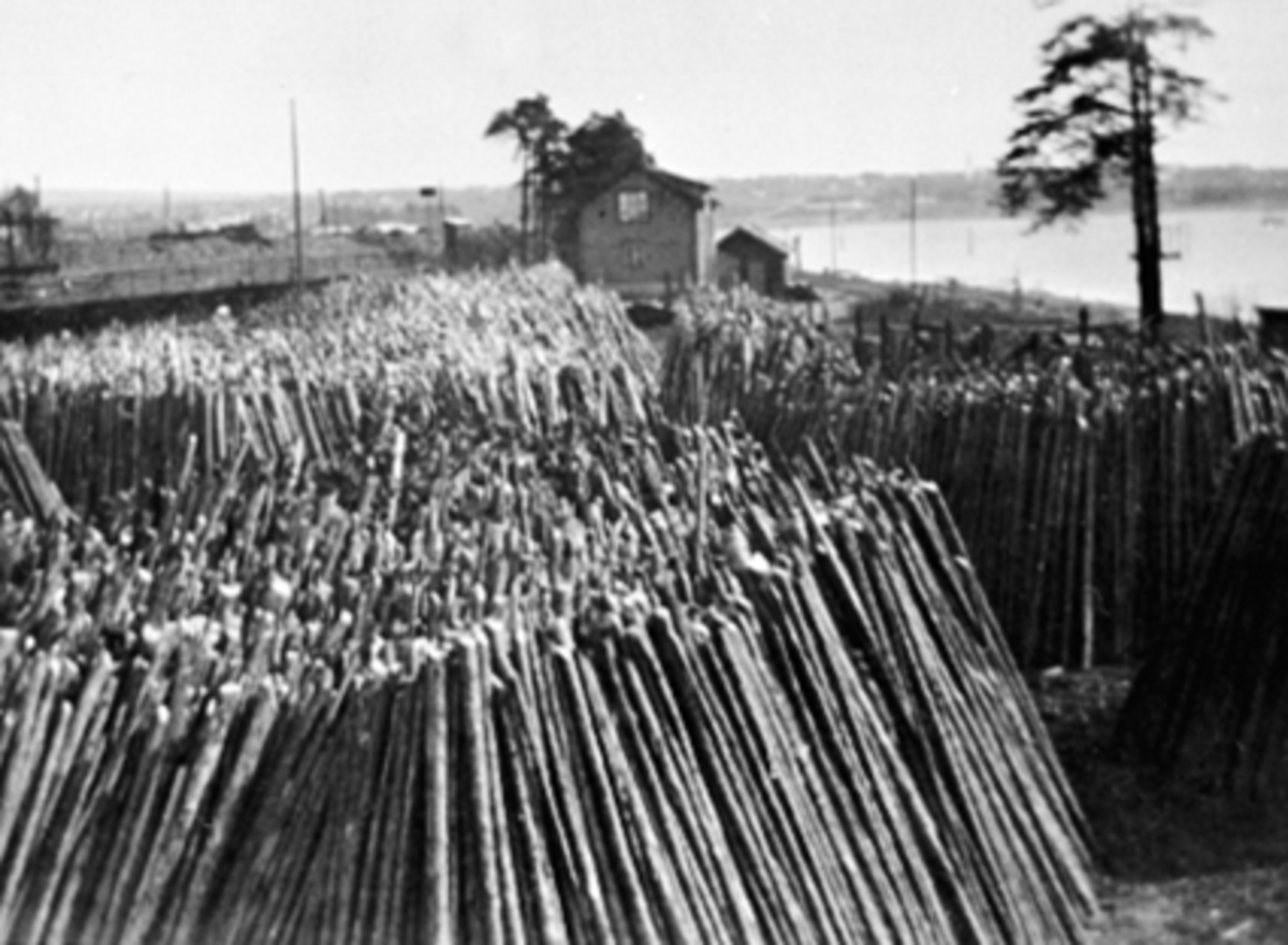 Anno Domkirkeodden, STABEL VEDSTOKKER, JERNBANELINJA-ÅKERSVIKA, HUS