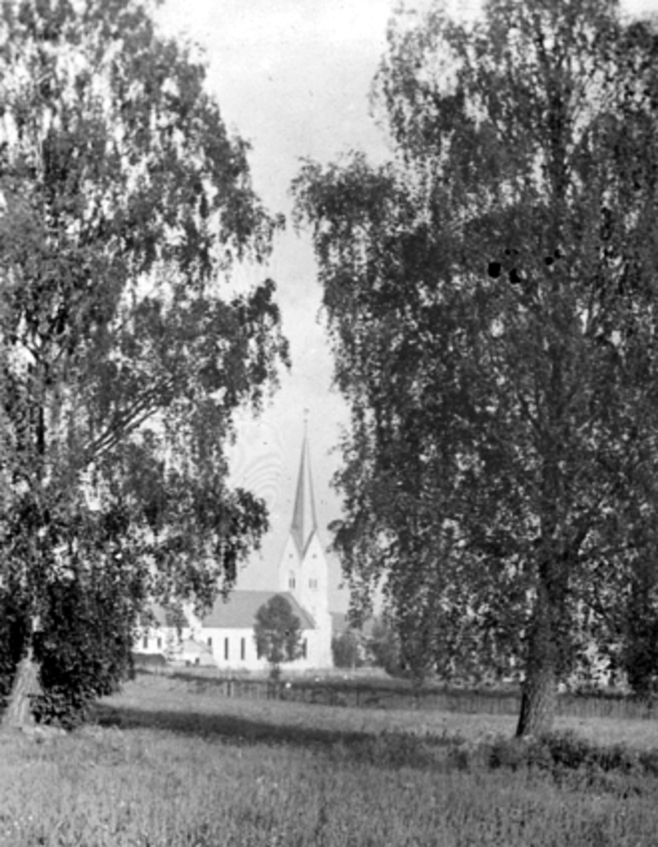 Anno Domkirkeodden, Landskap, Sagatunjordet, Hamar Domkirke, bjørker. Se En innlandsby vokser fram. bilde nr. 21.